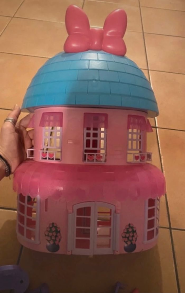 La maison de Minnie - photo numéro 3