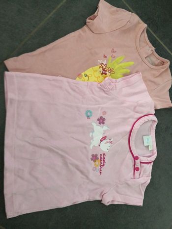 2 t-shirts manches courtes