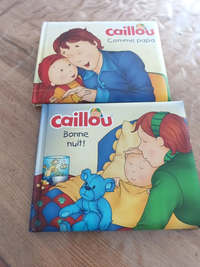 Lot de livres cailloux