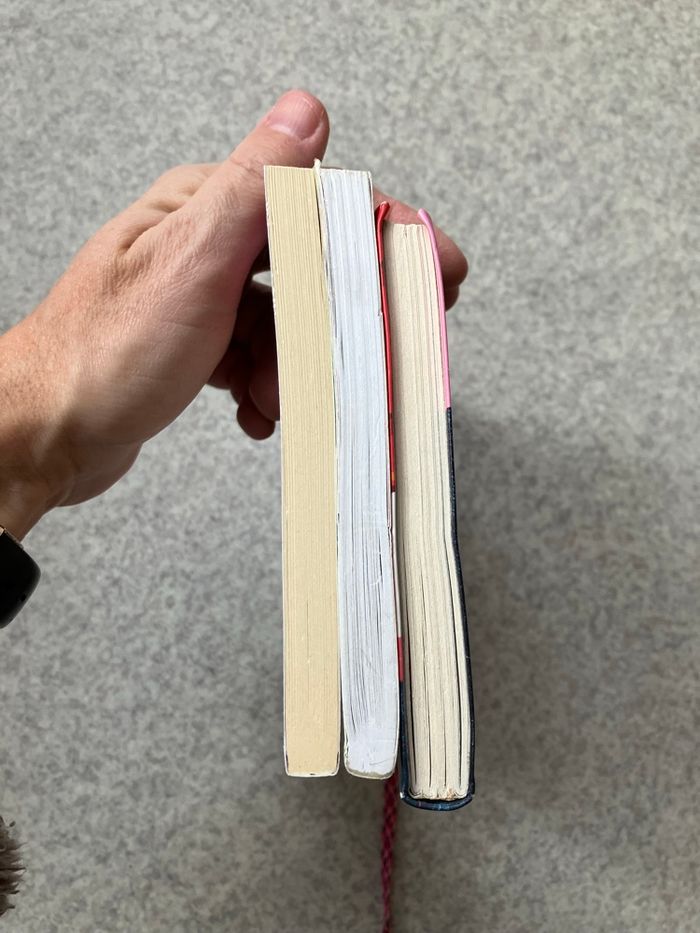 Lot de 3 livres jeunesse de 8 à 10 ans (2€80) - photo numéro 7