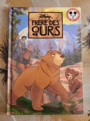 Frères des ours Disney (Studio)