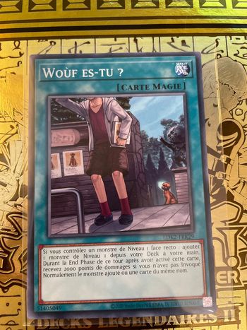Carte Yu-Gi-Oh! : Woùf es-tu ? - LDK2-FRK29