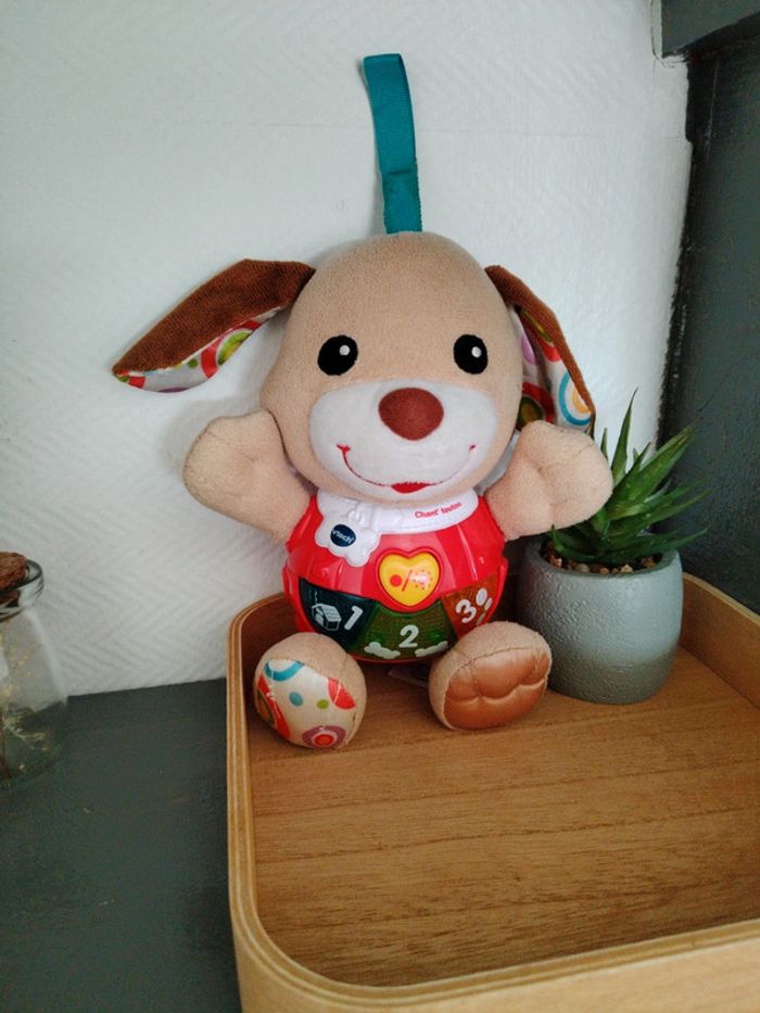 Chien musical - photo numéro 2