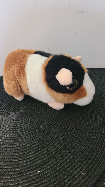 doudou cochon d'inde gros yeux petjes world