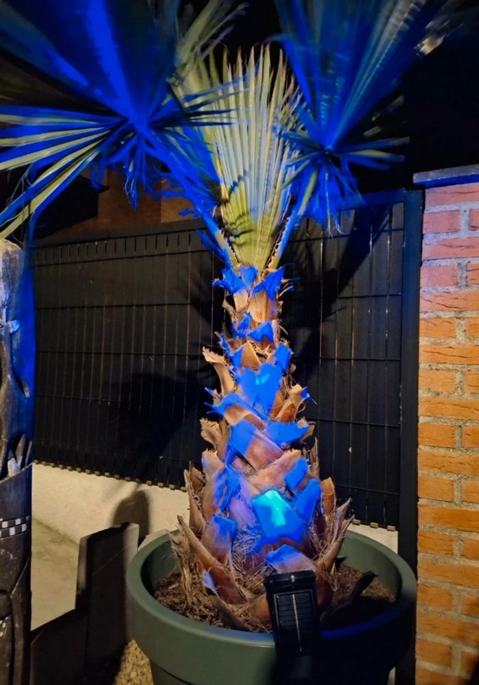Lumière decorative - photo numéro 3