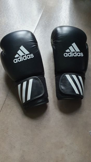 Gant boxe Adidas