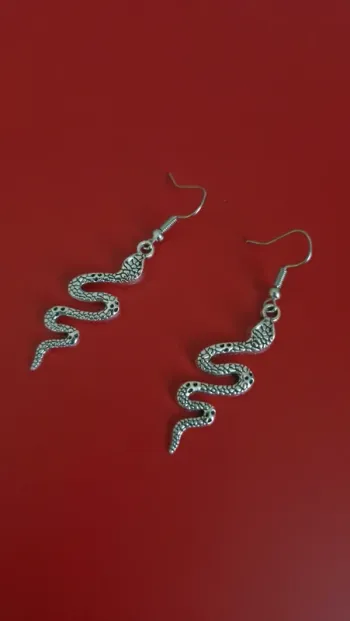 Paire de boucles d'oreilles