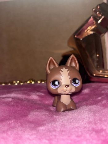 german shepherd #867