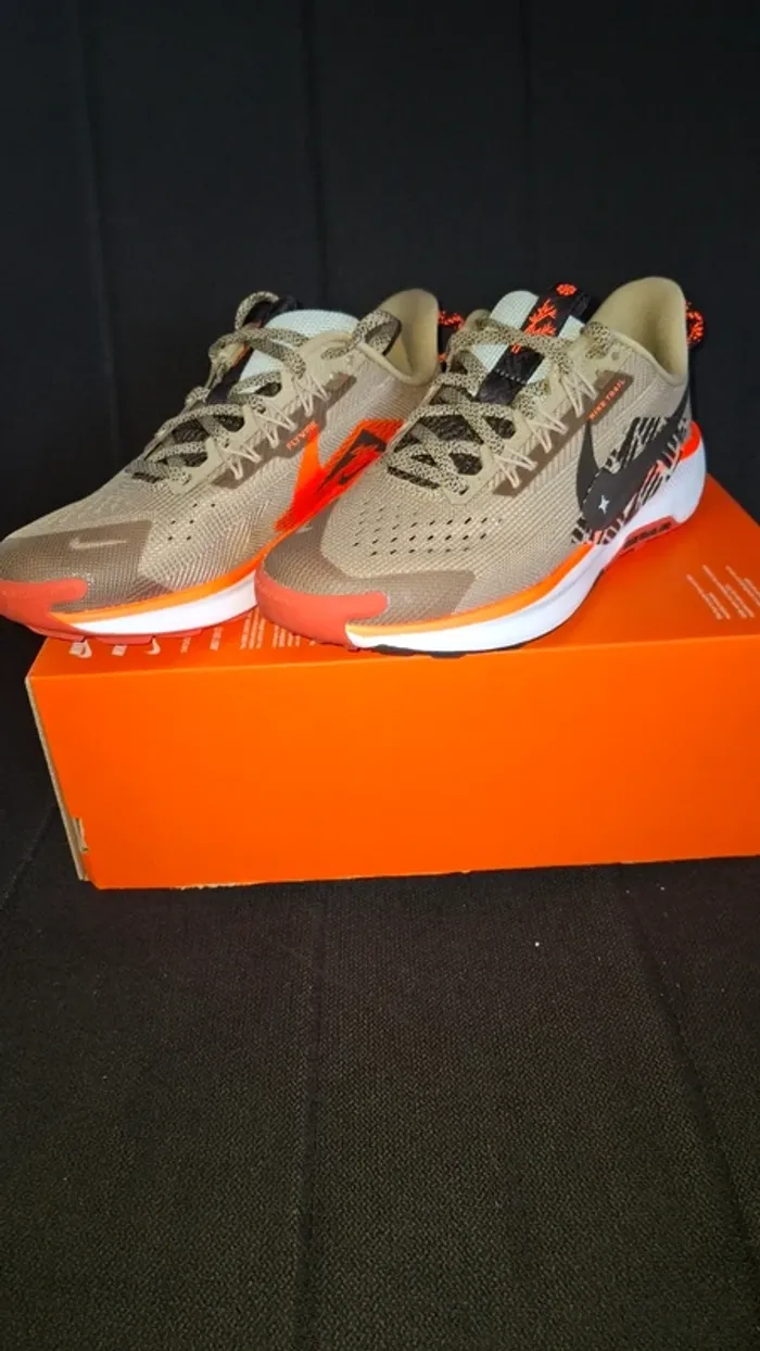 Baskets Nike Pegasus