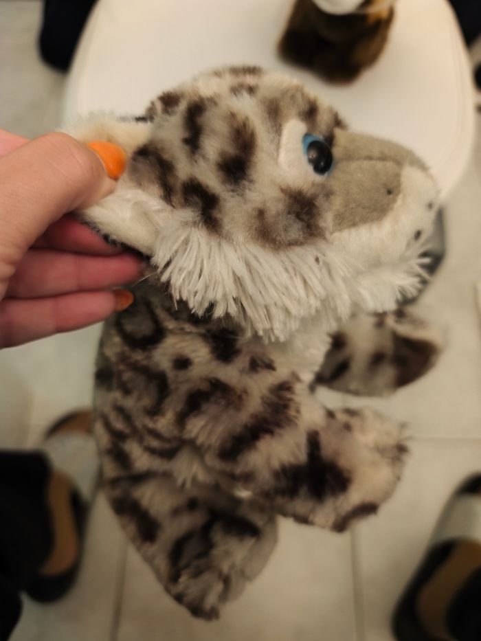 Peluches - photo numéro 4