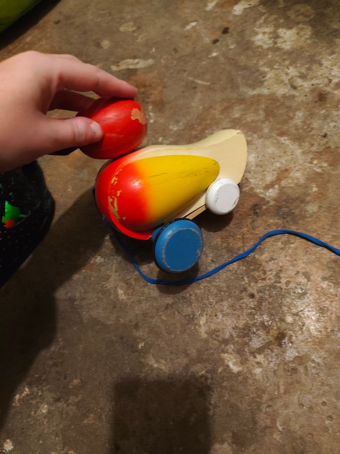 Petit oiseau à tirer - photo numéro 2