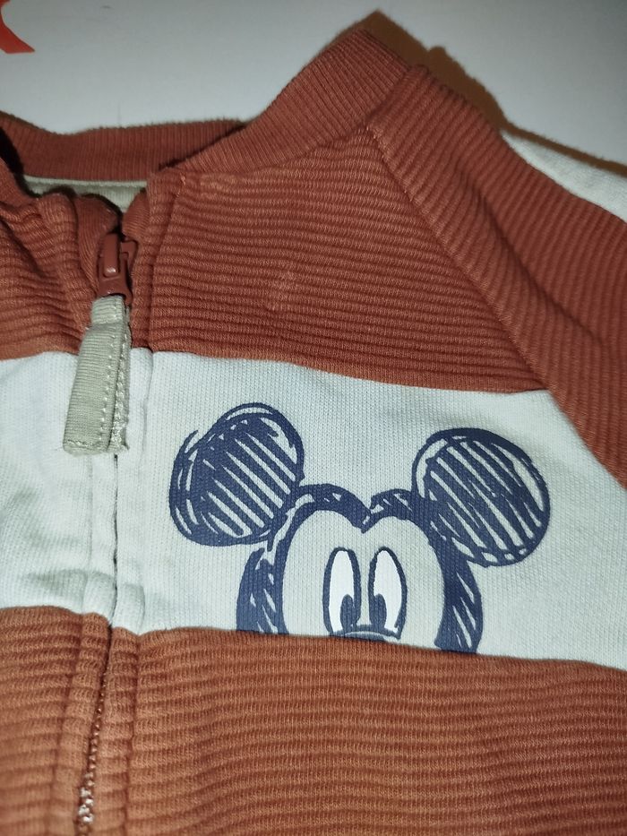 Ensemble - photo numéro 3