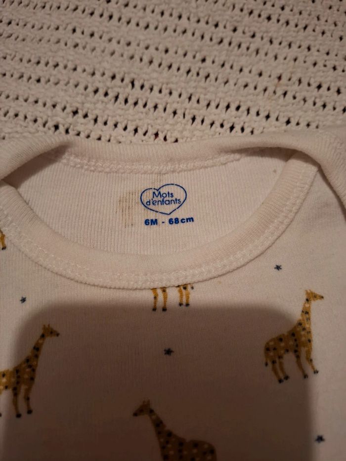 Bodie 6Mois (Mixte) - photo numéro 2