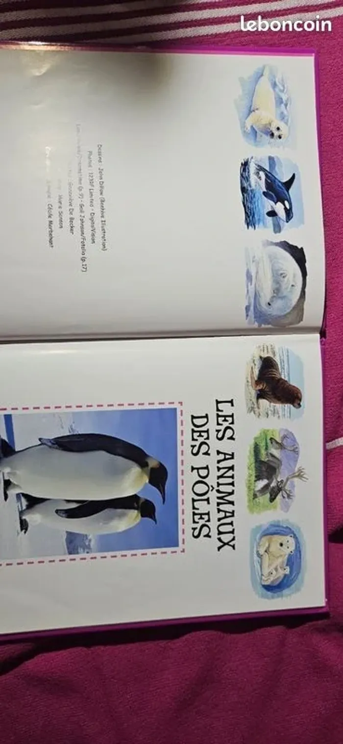 Les animaux des pôles - photo numéro 3