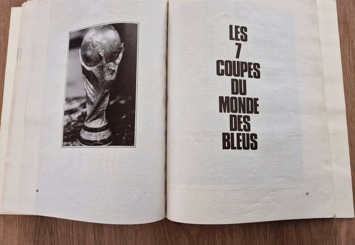 Livre foot coupe du monde - photo numéro 3
