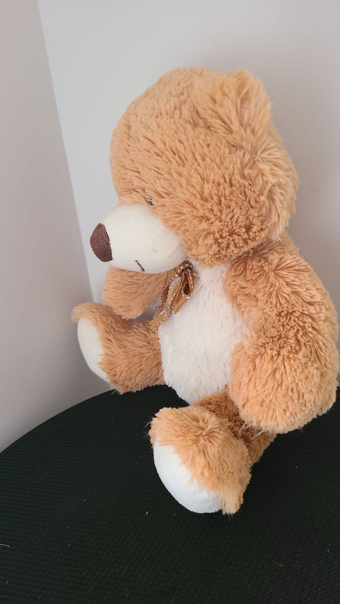 doudou ours - photo numéro 3