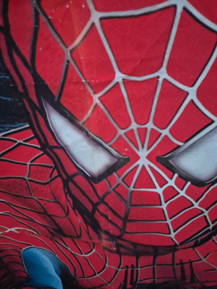 Toile spiderman - photo numéro 3