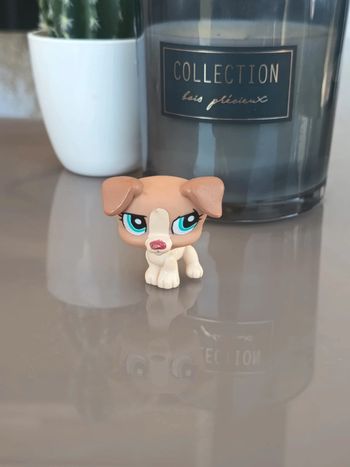 Littlest Pet Shop #1302 beige and tan jack Russell dog