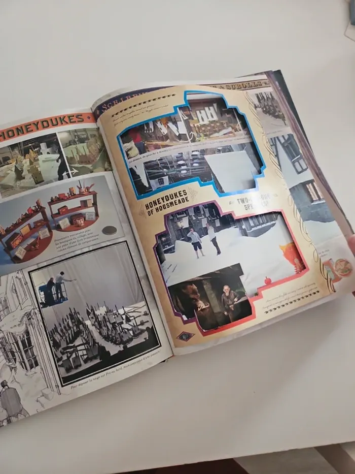 Livre Harry Potter - La magie des films - photo numéro 4