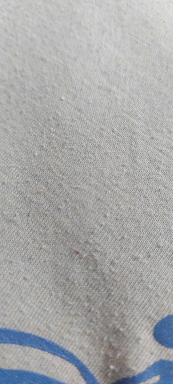 Sthirt - photo numéro 2