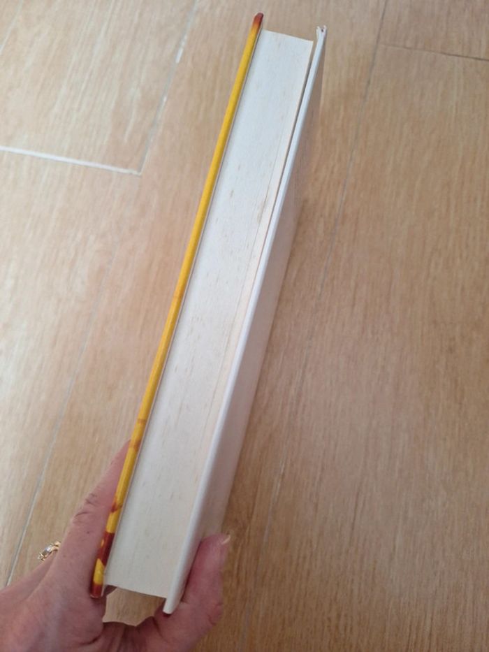 Livre gd format Les passions mitoyennes de Jean Pierre Cabanes - photo numéro 3