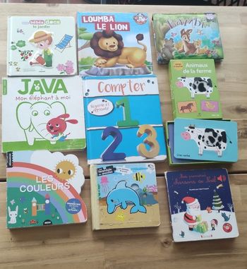 Lot de livres pour enfants