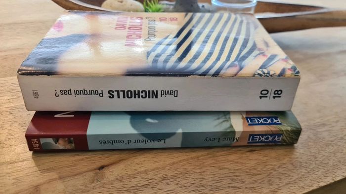 Lot 2 livres format poches - photo numéro 5