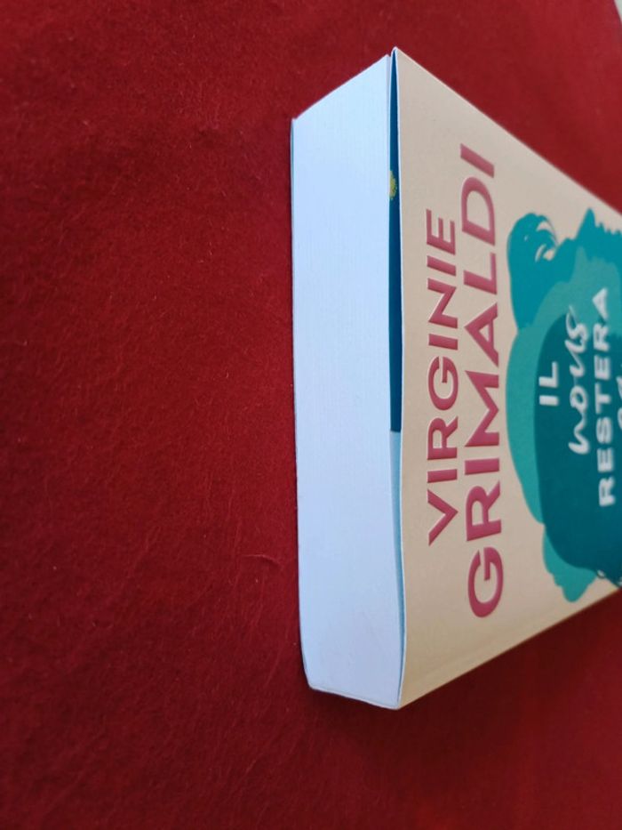 Il nous restera que ça " Virginie Grimaldi " Fayard - photo numéro 5