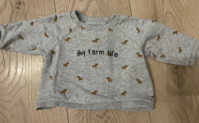 Lot 2 sweats - photo numéro 4