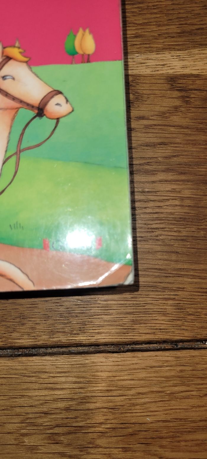 Histoires du soir Magie et contes de fées - photo numéro 2