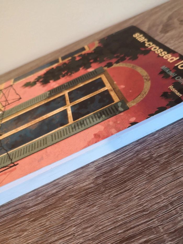 Livre romance Star-crossed Lovers de Mikael Ollivier - photo numéro 4