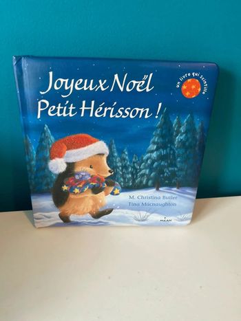 Livre scintillant joyeux Noël petit hérisson