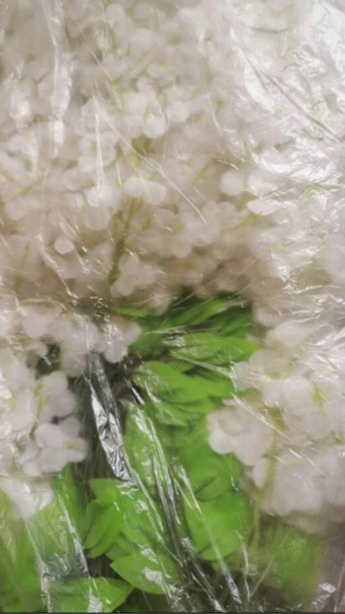 Guirlandes de fleurs de glycines - photo numéro 2
