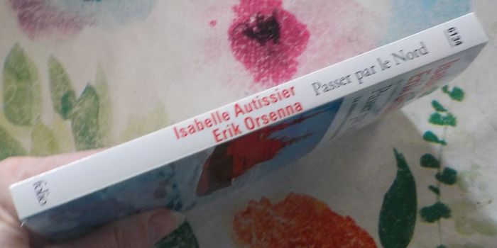 PASSER PAR LE NORD par I. AUTISSIER et E. ORSENNA Ed. Folio - photo numéro 4