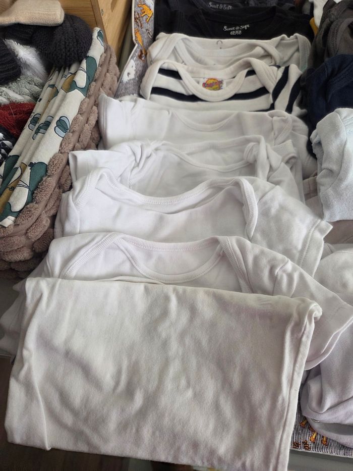 Bodies - photo numéro 5