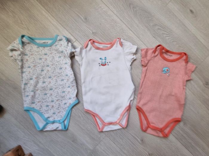 Lot de 3 bodies 9mois mixte - photo numéro 4