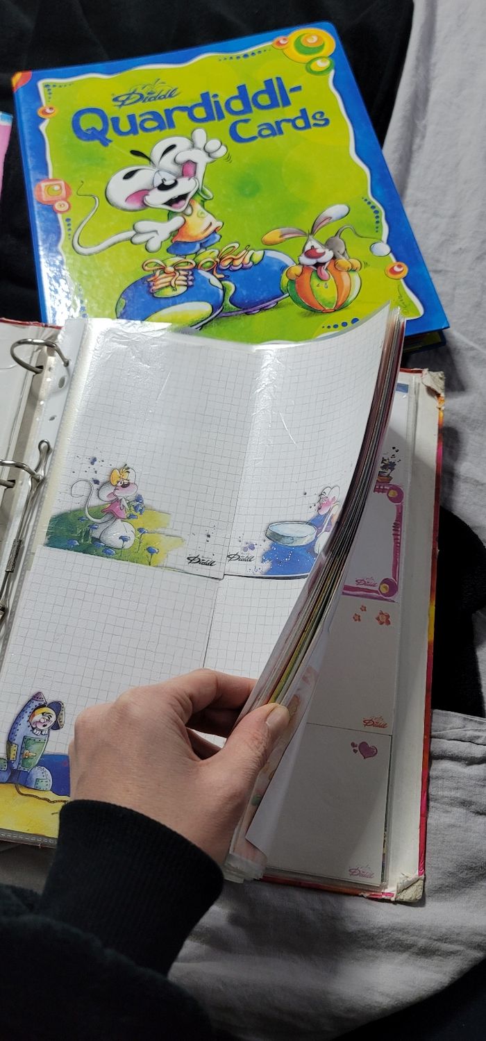 Classeur diddl - photo numéro 3