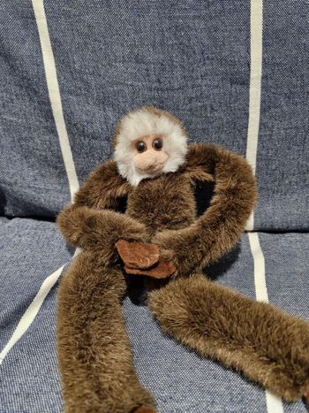 Peluche singe