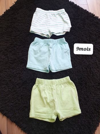 Lot 3 short