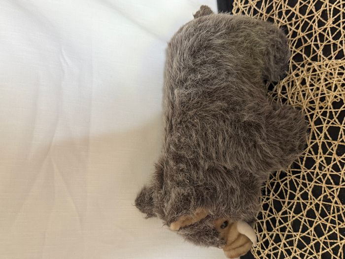 peluche sanglier - photo numéro 2