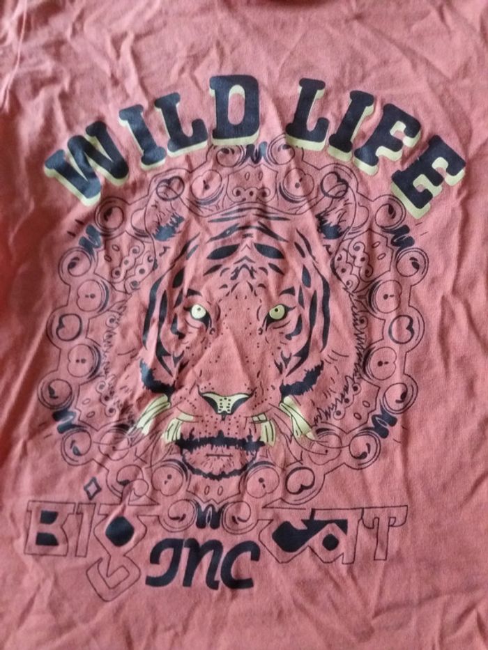 Tshirt - photo numéro 2