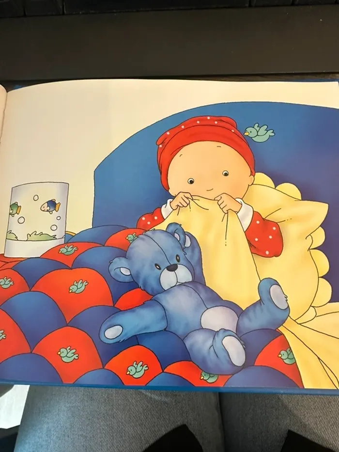 Livre enfant "Caillou se réveille la nuit" - photo numéro 3