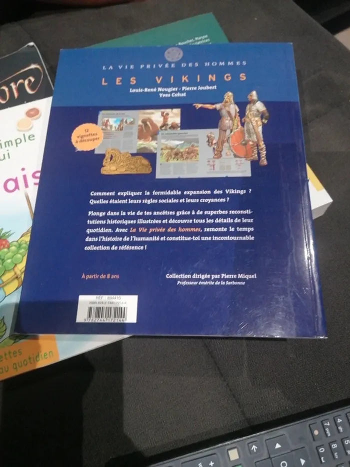 Les Vikings - photo numéro 2