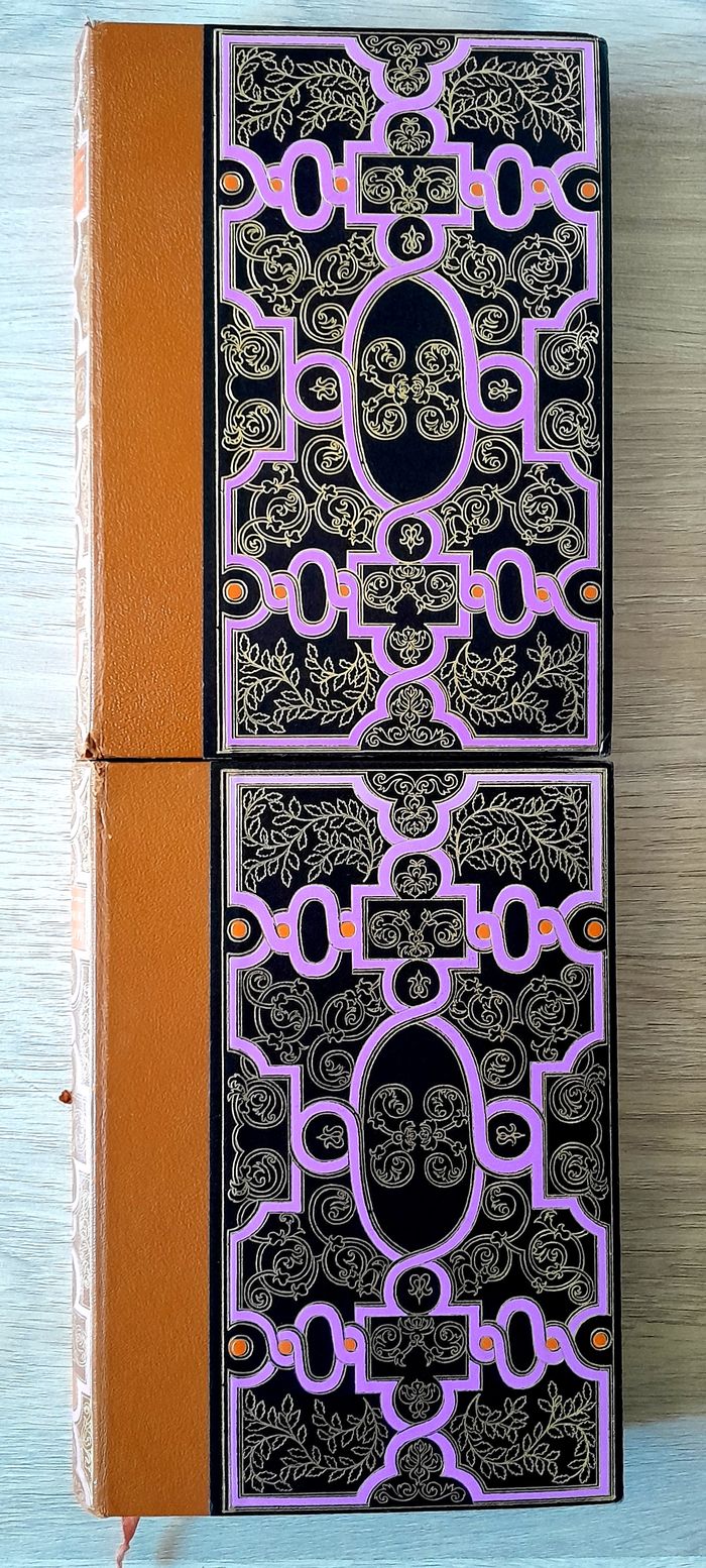 Alexandre Dumas - La reine margot tome 1 et 2 illustrés par saint-justh - photo numéro 2