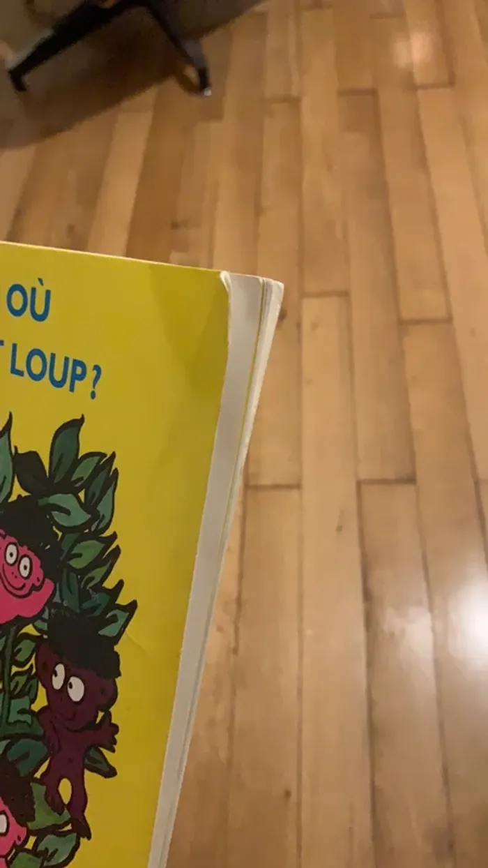 Livre il est où mon p’tit loup - photo numéro 3