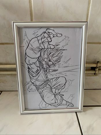 Cadre dragon ball