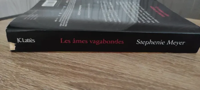 Les âmes vagabondes - photo numéro 5