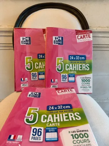 NEUF Lot de 15 cahiers Oxford couverture carte résistante 24x32cm 96 pages grands carreaux Seyes