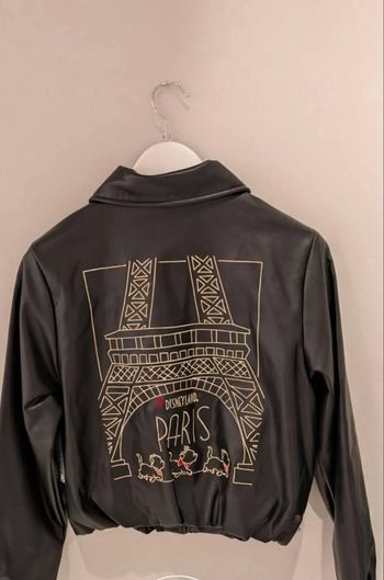 Bombers Disney aristochat