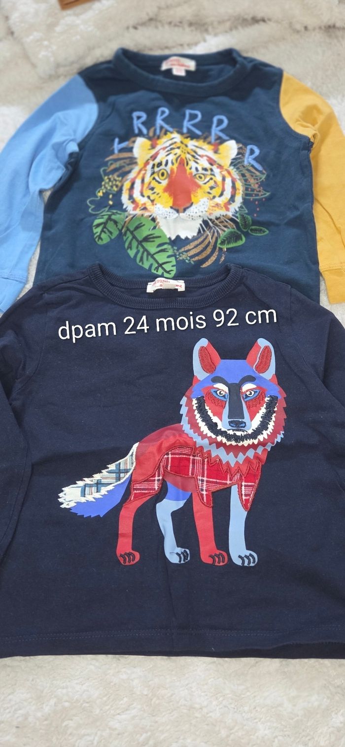 Lot 2 tee-shirts manches longues dpam 24 mois 92 cm